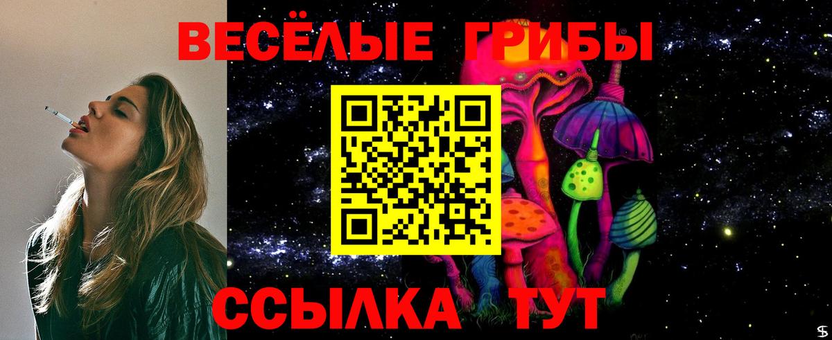 Галлюциногенные грибы прущие грибы  цена наркотик  Светлоград  Вход с VPN 