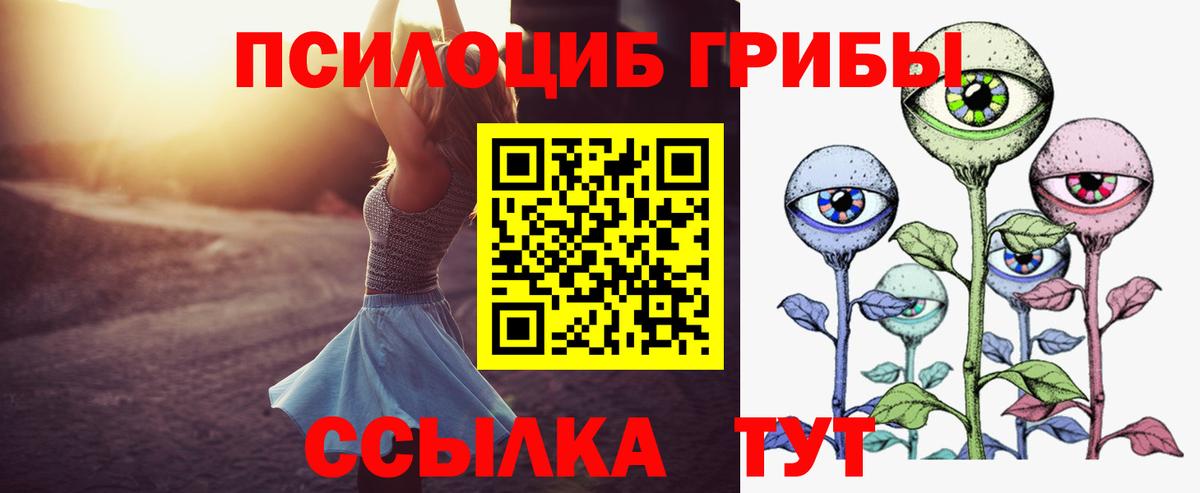 Галлюциногенные грибы Psilocybe Светлоград
