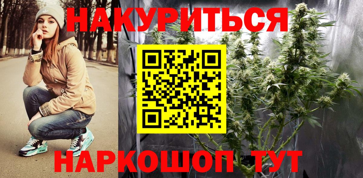 Конопля конопля Светлоград